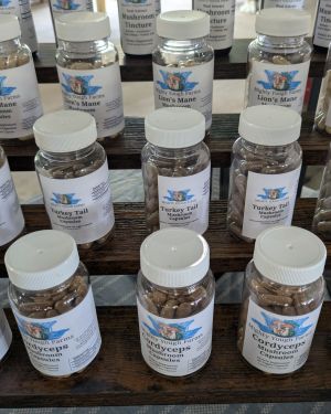 Mushroom Powder Capsules