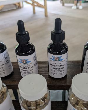 Dual Extract Mushroom Tinctures