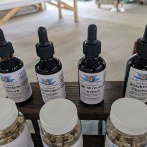 Mushroom tinctures