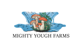 mightyyough.com